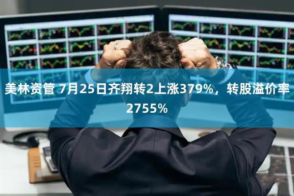 美林资管 7月25日齐翔转2上涨379%，转股溢价率2755%