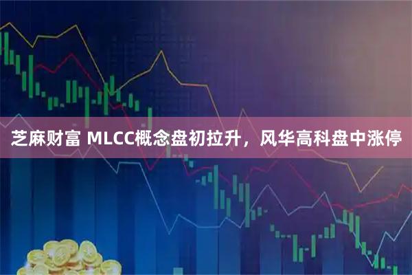 芝麻财富 MLCC概念盘初拉升，风华高科盘中涨停